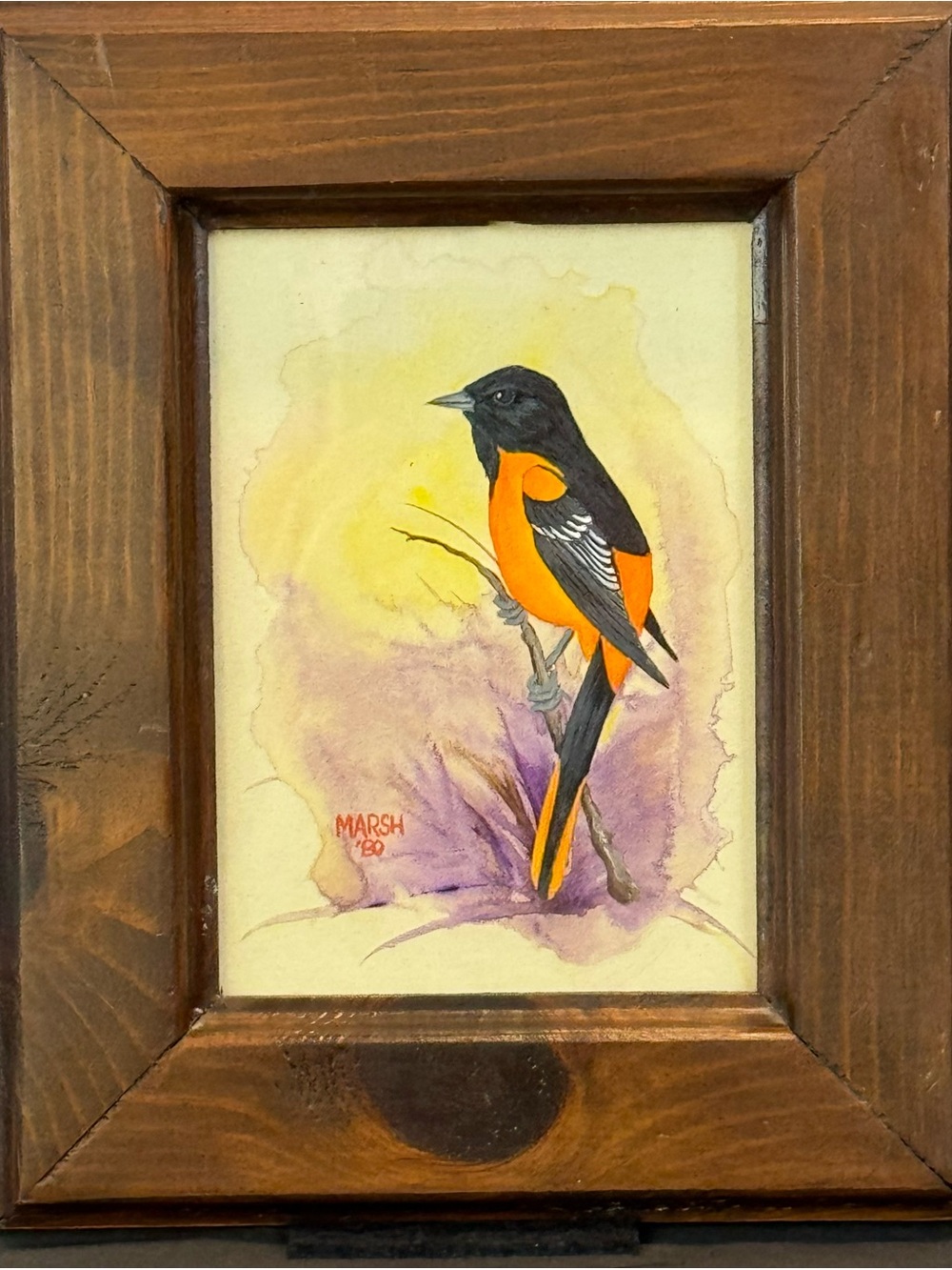 1980 Baltimore Oriole Bird Watercolor Painting Framed Vintage Signed Art